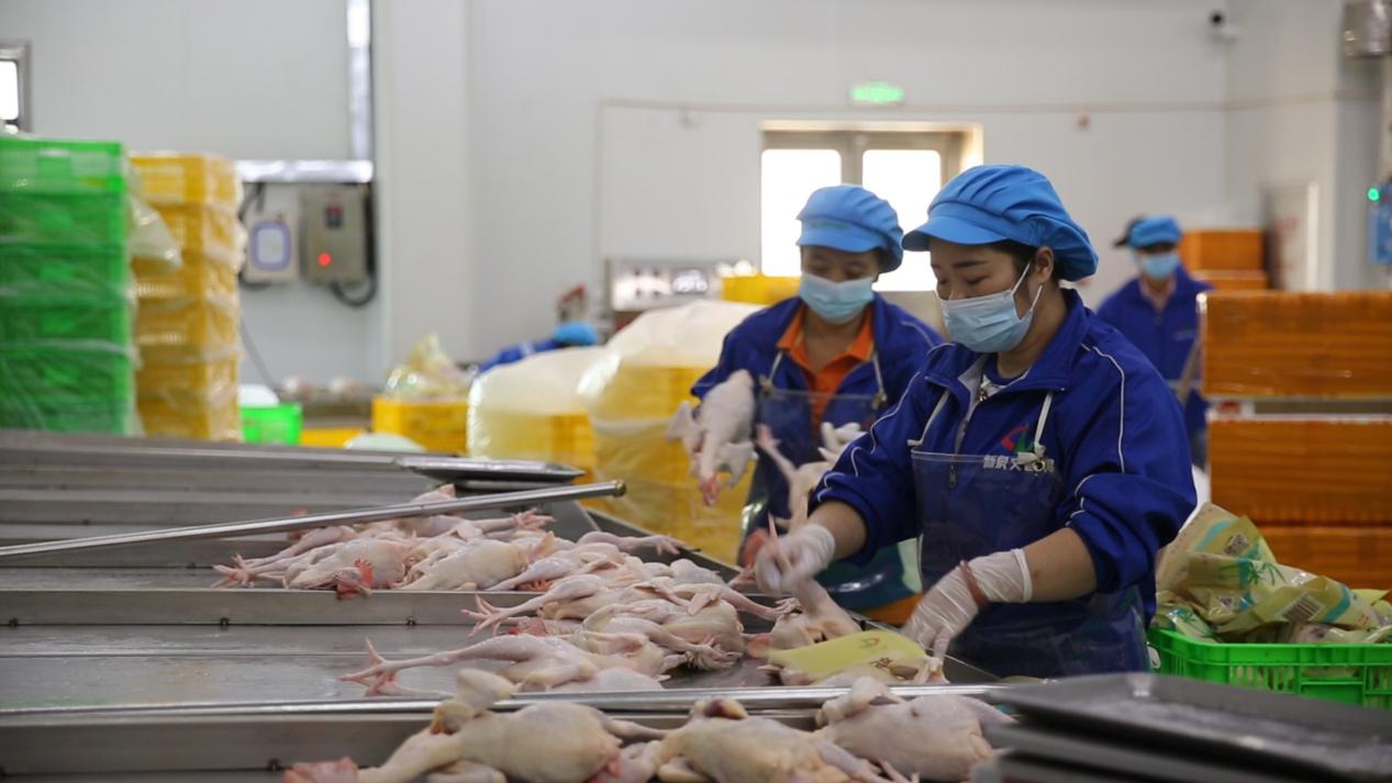 image4.jpeg image4.jpeg