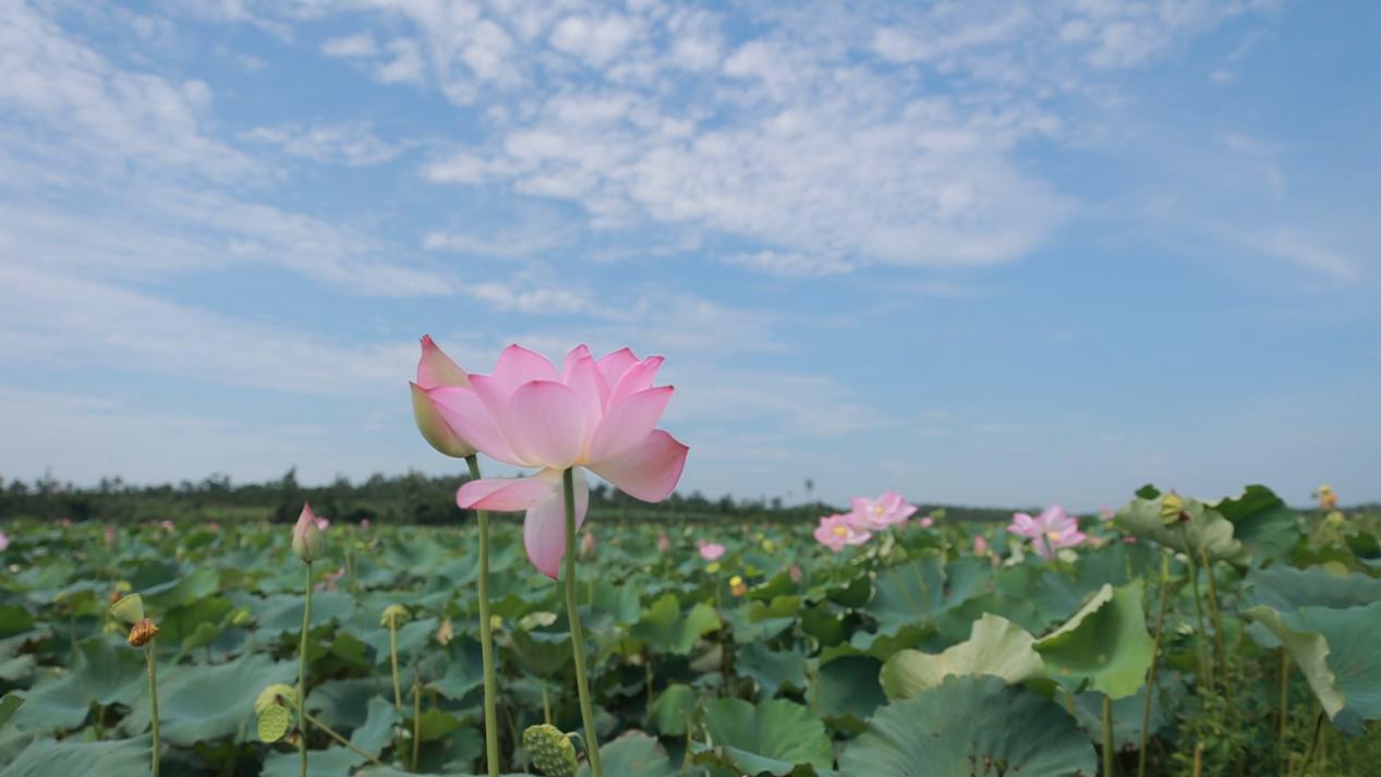 image3.jpeg image3.jpeg